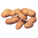 Peanuts with Shell